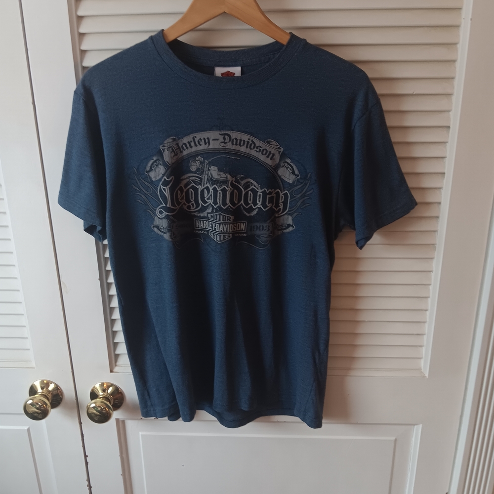 Wildcat Harley-Davidson Blue Graphic T-Shirt for Men